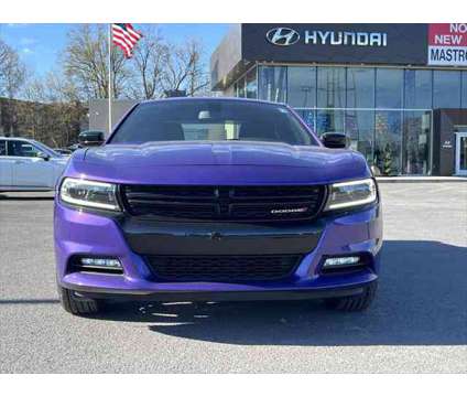 2023 Dodge Charger SXT AWD is a Purple 2023 Dodge Charger SXT Sedan in Utica NY