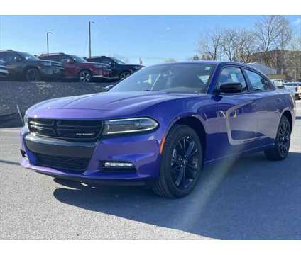 2023 Dodge Charger SXT AWD is a Purple 2023 Dodge Charger SXT Sedan in Utica NY