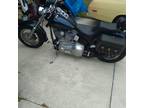 2002 harley softail custom