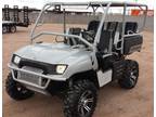 2007 Polaris Ranger Custom Buggy