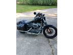 2008 harley nightster 1200n