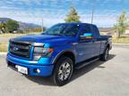 2013 Ford F-150 FX4 4x4