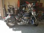 2008 Harley Davidson softtail