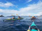 Tandem Kayaks Northwest Sea Scape II