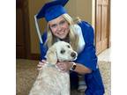 Experienced and Reliable Pet Sitter in Sioux City, Iowa - $15/Hour