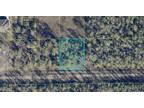 Plot For Sale In Lehigh Acres, Florida