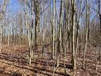 Plot For Sale In Andover, New York