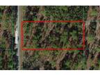 Plot For Sale In Dunnellon, Florida