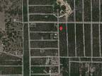 Plot For Sale In Hawthorne, Florida