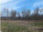 Tawas City, A beautiful 80 acre parcel with a mix of open