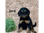 Jordi