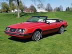 Used 1983 FORD MUSTANG For Sale