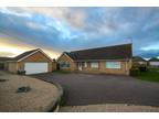 3 bedroom detached bungalow for rent in Holmsey Green, Beck Row, IP28