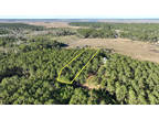 Land for Sale by owner in Townsend, GA