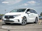 2024 Honda Odyssey Silver|White, new