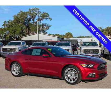 2015 Ford Mustang EcoBoost Premium is a Red 2015 Ford Mustang EcoBoost Car for Sale in Sarasota FL