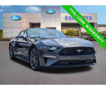2019 Ford Mustang EcoBoost Premium is a 2019 Ford Mustang EcoBoost Car for Sale in Sarasota FL