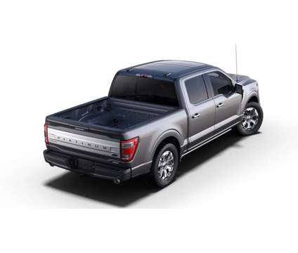 2023 Ford F-150 Platinum is a Grey 2023 Ford F-150 Platinum Car for Sale in Georgetown TX