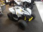 2024 Can-Am Renegade 110 EFI