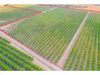 Plot For Sale In Merced, California