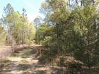 Plot For Sale In Williston, Florida