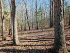 Plot For Sale In Max Meadows, Virginia