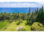 Plot For Sale In Pahoa, Hawaii