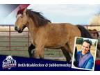 Adopt Jabberwocky a Tennessee Walker