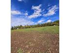 Plot For Sale In Valley, Washington