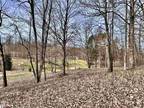 Plot For Sale In Bellaire, Michigan