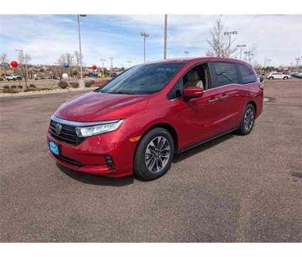 2024 Honda Odyssey EX-L is a Red 2024 Honda Odyssey EX-L Car for Sale in Colorado Springs CO