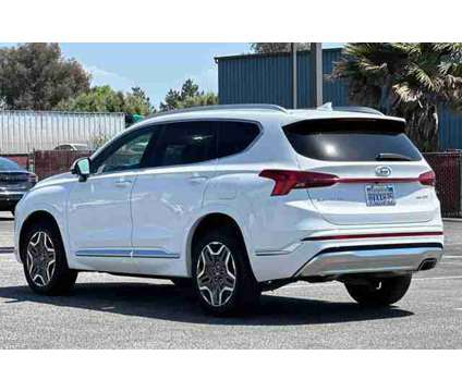 2021 Hyundai Santa Fe Calligraphy is a White 2021 Hyundai Santa Fe SUV in Gilroy CA
