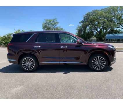 2023 Hyundai Palisade Calligraphy is a Red 2023 SUV in New Port Richey FL
