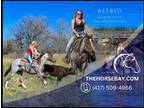 Meet Astrid Strawberry Roan Quarter Horse Mare - Available on [url removed]