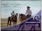 Meet Jake Bay Roan AQHA Gelding - Available on [url removed]