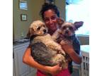 Experienced Pet Sitter in Overland Park, Kansas $20 Daily