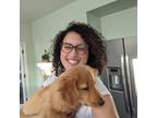 Fountain Valley Pet Sitter Reliable & Trustworthy Care