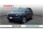 2019 Jeep Cherokee Trailhawk 4dr 4x4