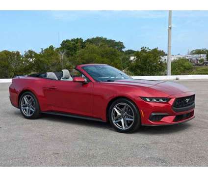 2024 Ford Mustang EcoBoost is a Red 2024 Ford Mustang EcoBoost Car for Sale in Sarasota FL