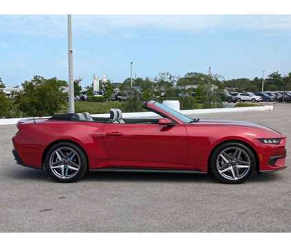 2024 Ford Mustang EcoBoost Premium is a Red 2024 Ford Mustang EcoBoost Car for Sale in Sarasota FL