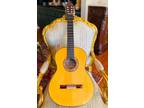 Flamenco Guitar Jesus Bellido Valencia (F Extra Spruce Top)