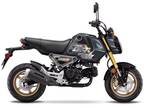 2024 Honda MSX125R Motorcycle for Sale