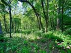 Plot For Sale In Spring Grove, Minnesota