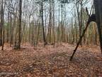 Plot For Sale In Caroga Lake, New York