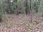 Plot For Sale In Irmo, South Carolina