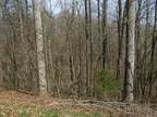 Plot For Sale In Smithville, Tennessee