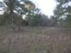 Plot For Sale In Moultrie, Georgia