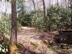 Plot For Sale In Shady Valley, Tennessee