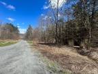 Plot For Sale In Jewett, New York