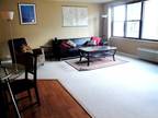 Condo For Rent In Chicago, Illinois